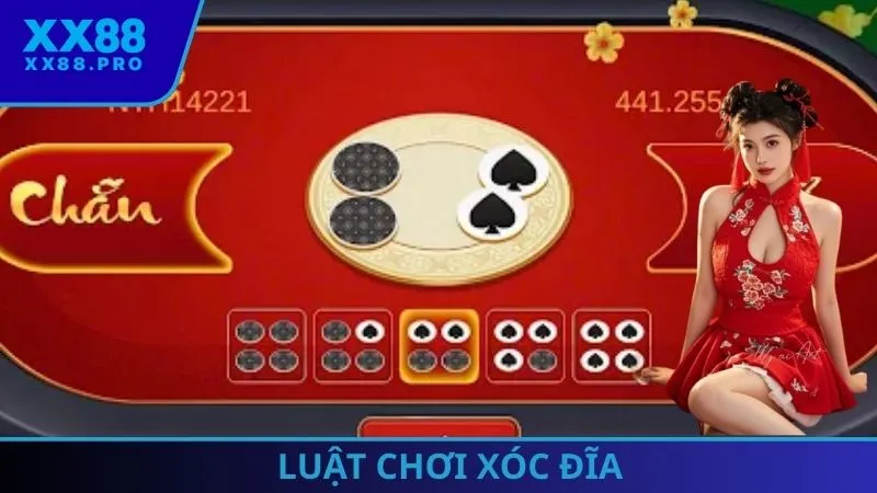 Luật Chơi Xóc Đĩa: Các Quy Định Cơ Bản Dành Cho Người Mới