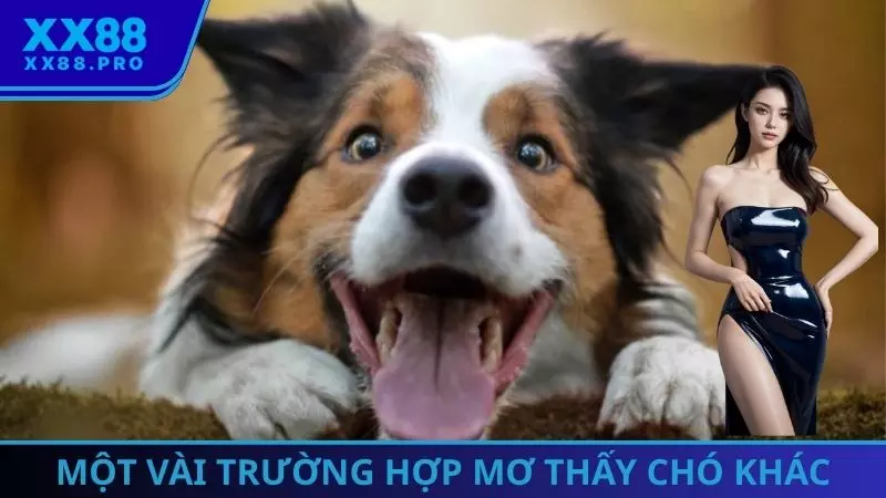 Một vài trường hợp mơ thấy chó khác