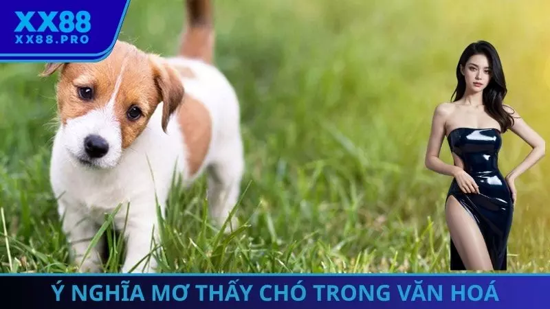 Ý nghĩa mơ thấy chó trong văn hoá